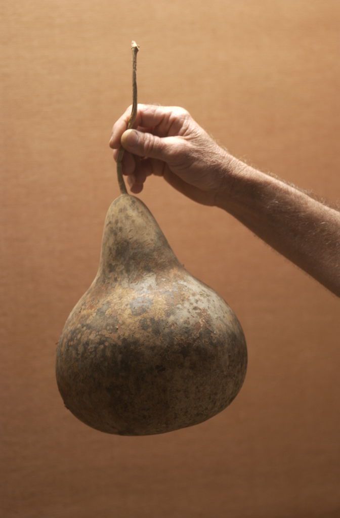Martin Gourd