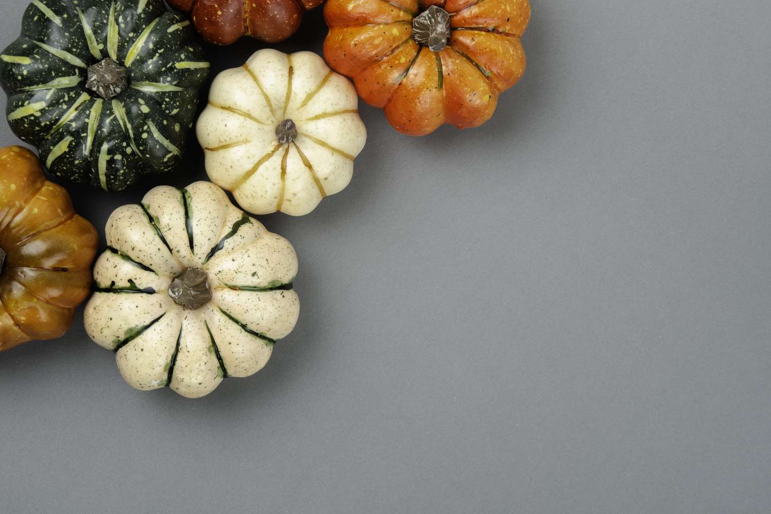 Daisy Gourd