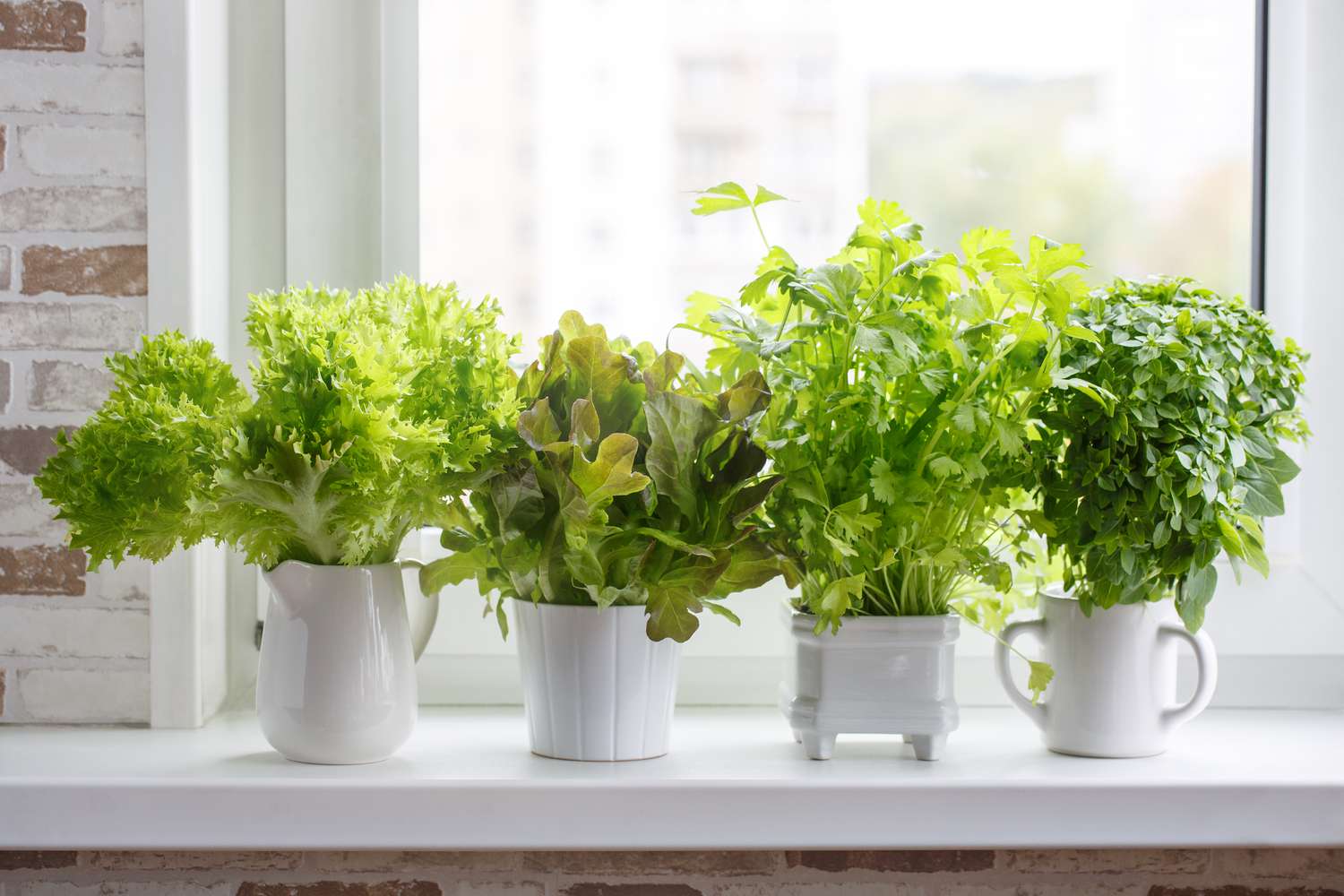 petites herbes en pot dans la cuisine