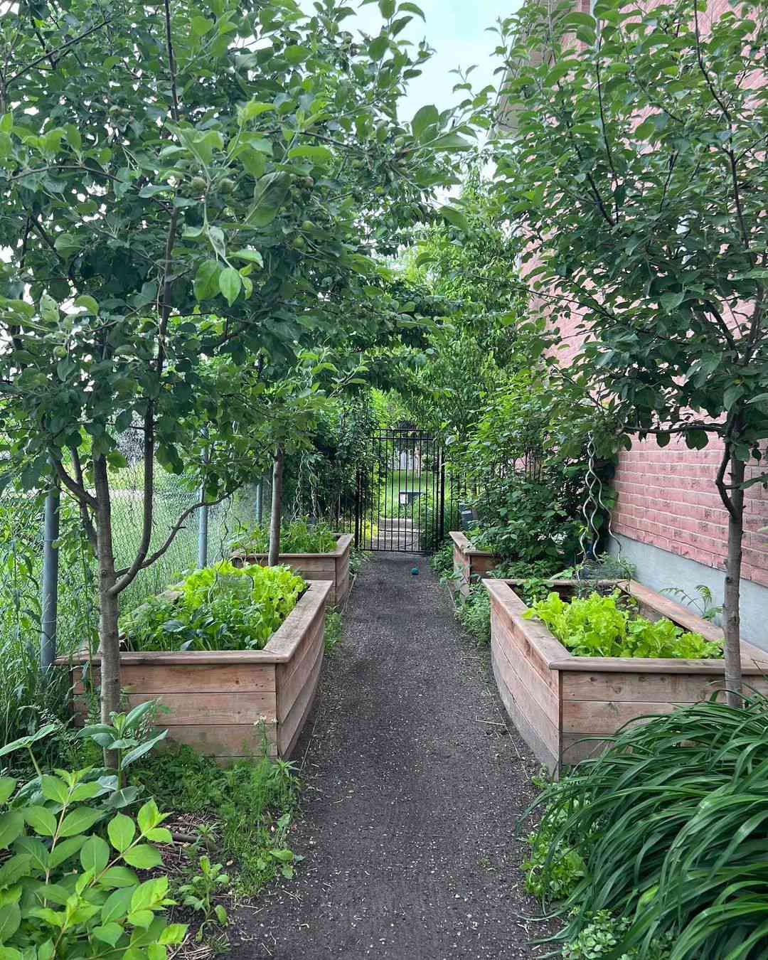 herbes dans un jardin d'appoint