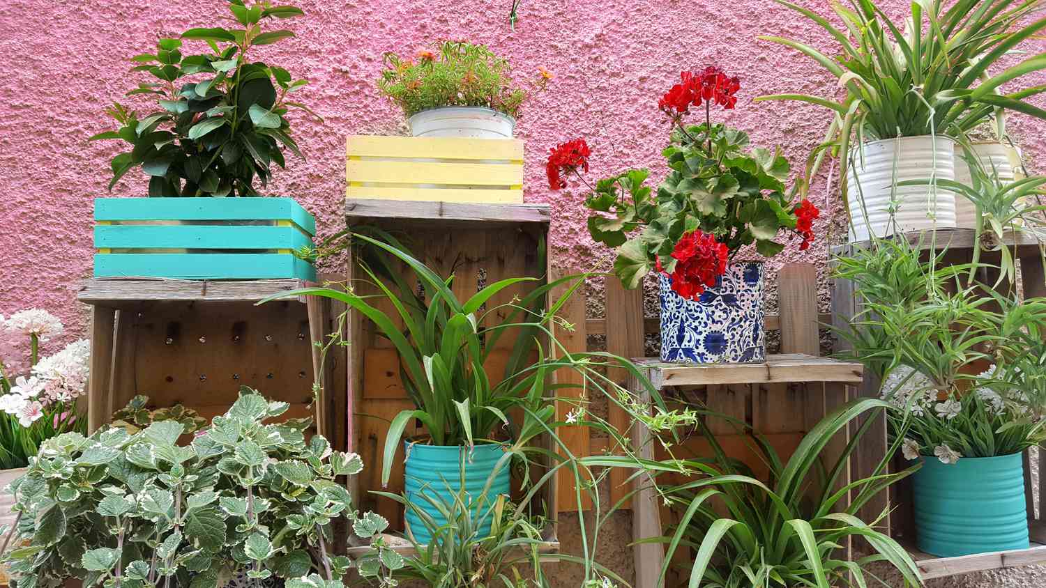 arrangement de pots de fleurs 