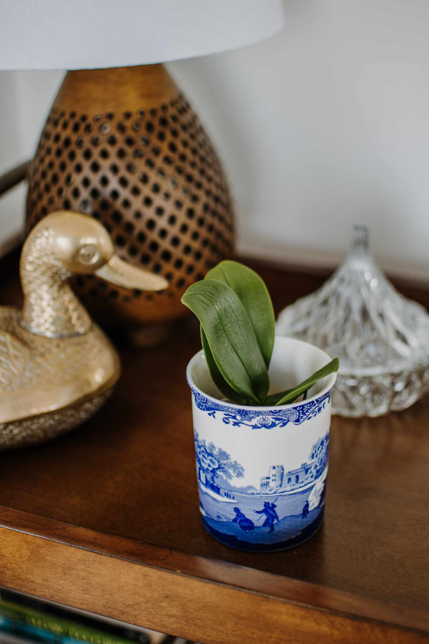 Tasse cassée utilisée comme plante