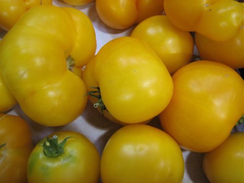 Tomates Lemon Boy