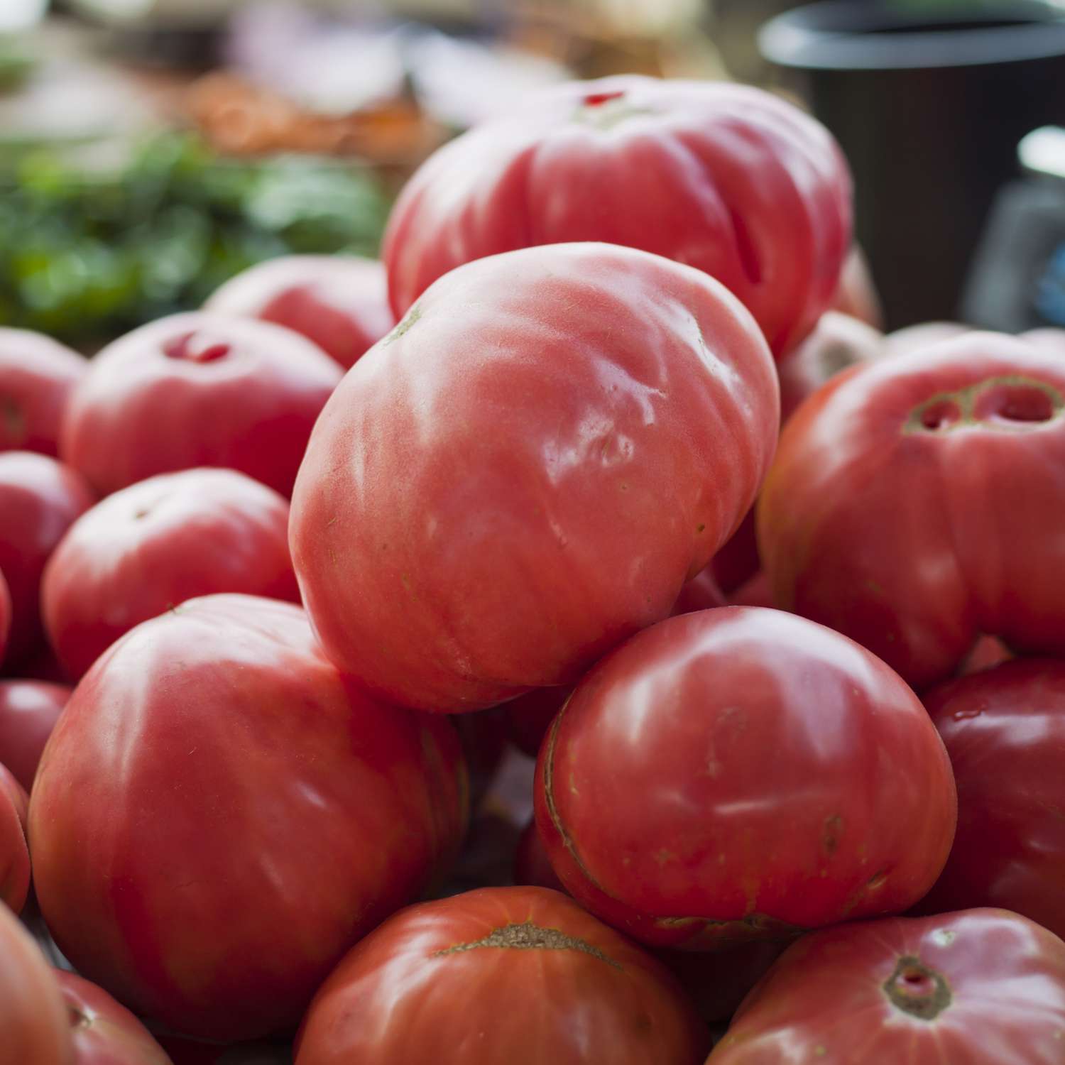 gros plan de grosses tomates rose foncé à cœur de framboise