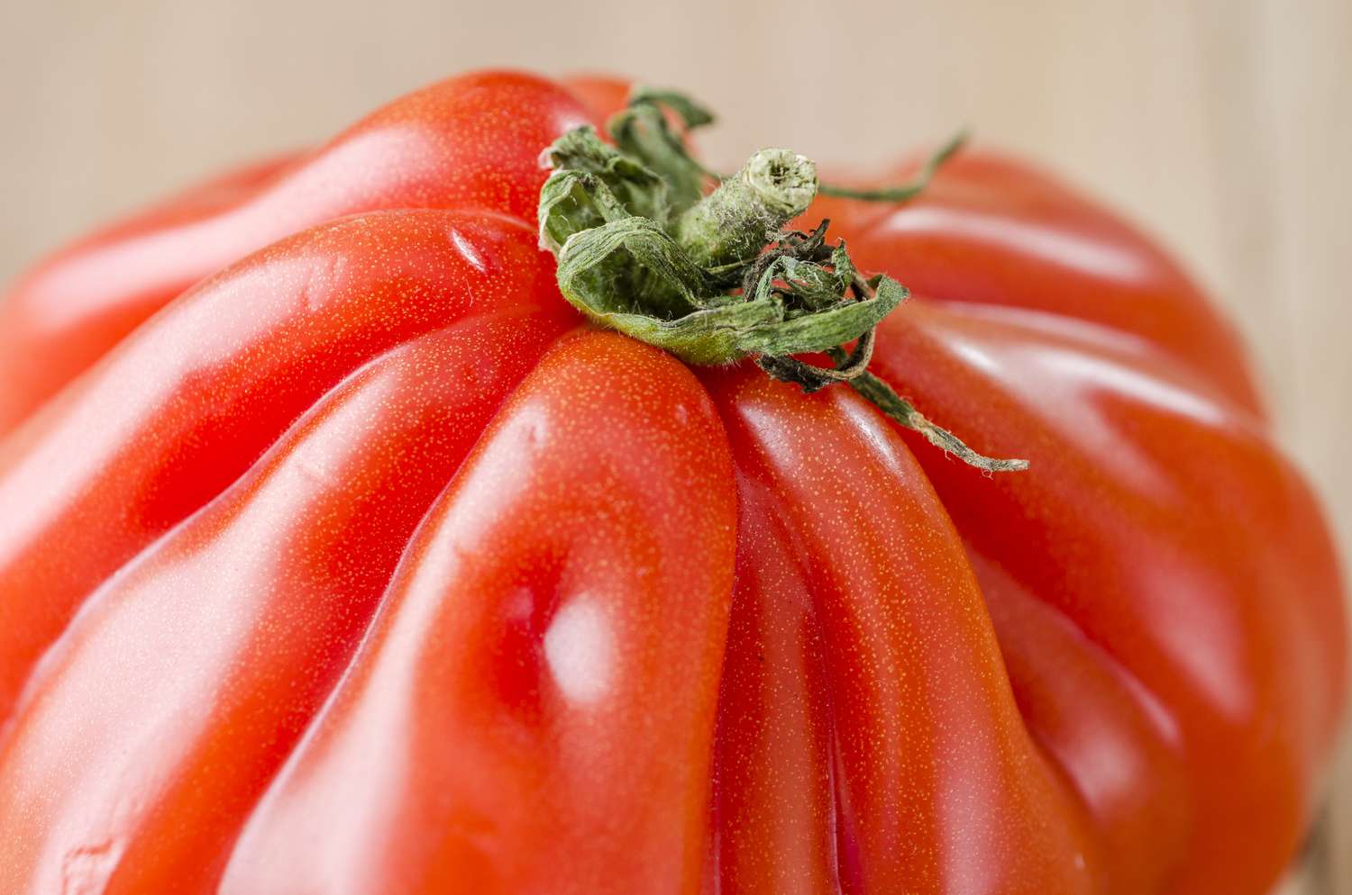Délicieuse tomate costoluto genovese