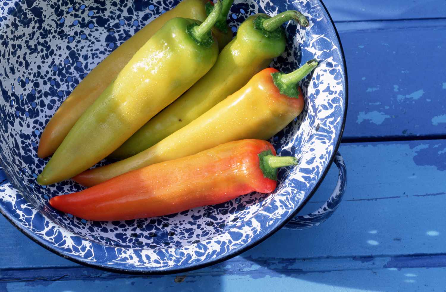 Poivrons Guajillo