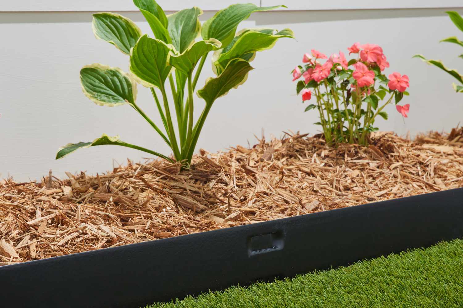 Bordure paysagère en métal noir galvanisé bordant un parterre de fleurs