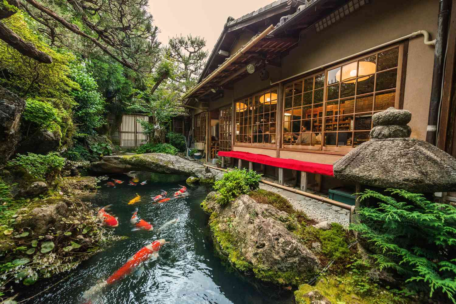 Un étang à carpes koï et des rochers moussus à côté d'une maison.
