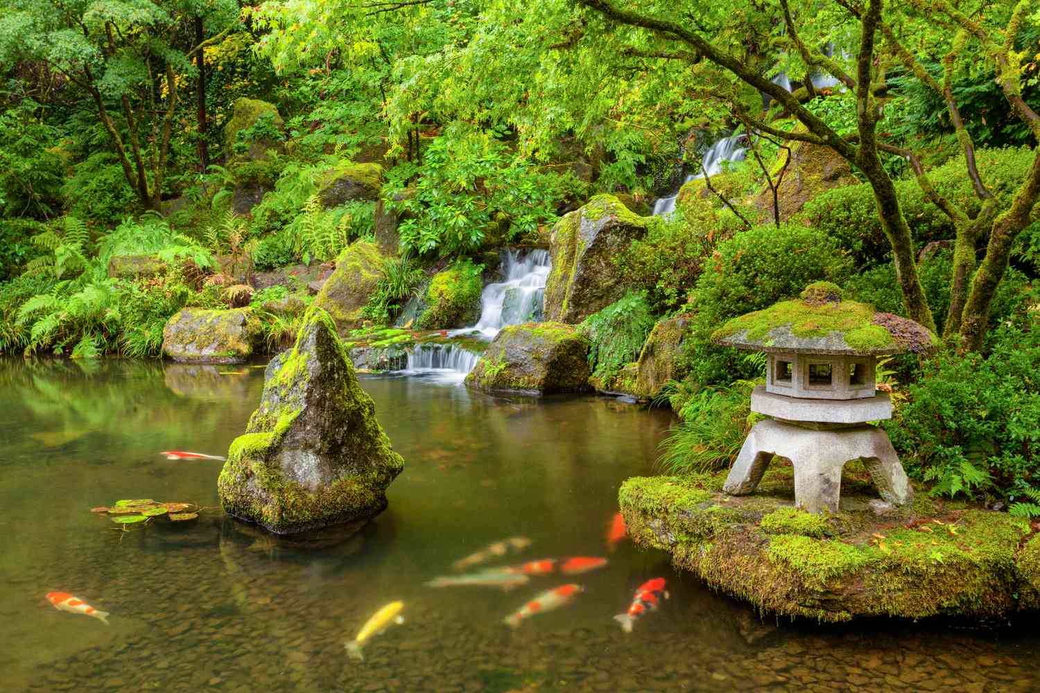 Un étang vert pour carpes koï avec des cascades, des rochers et des sculptures.