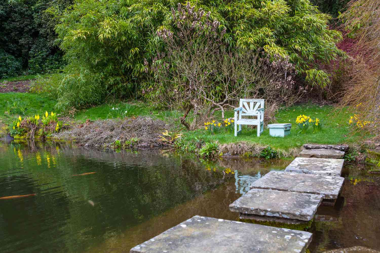 Grandes pierres en ciment traversant un étang à carpes koï.