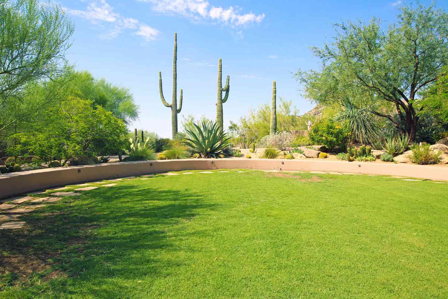 Jardin paysager avec mur de soutènement incurvé et cactus Saguaro Phoenix