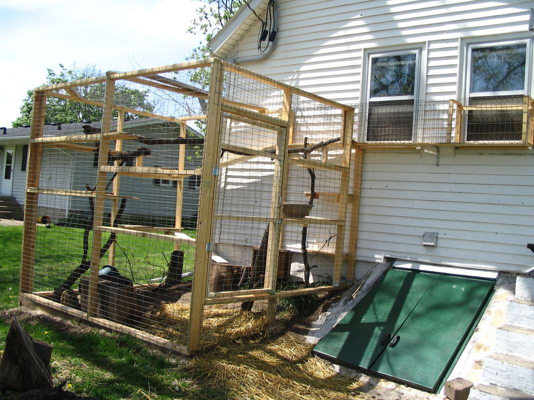 Un enclos en bois pour chat à l'extérieur d'une maison