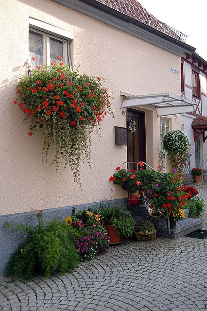 Jardin de fleurs de ville