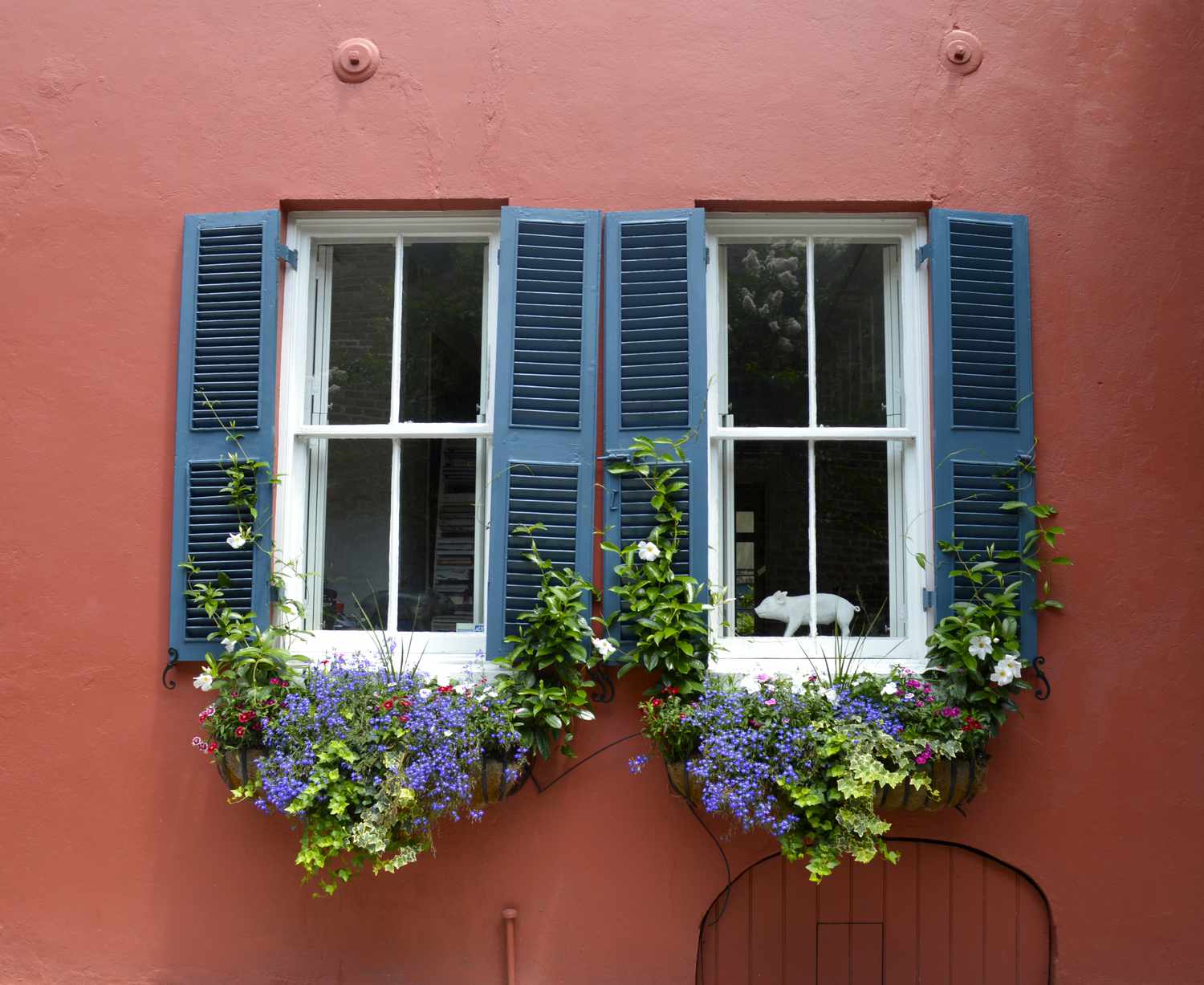Jardinières avec plantes grimpantes