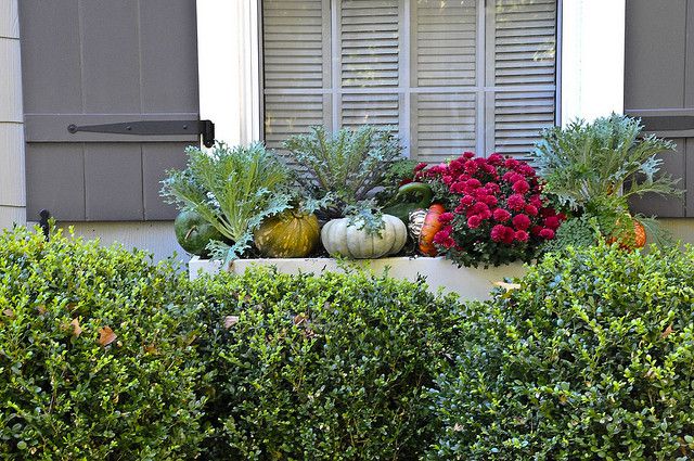 Boîte à fleurs d'automne