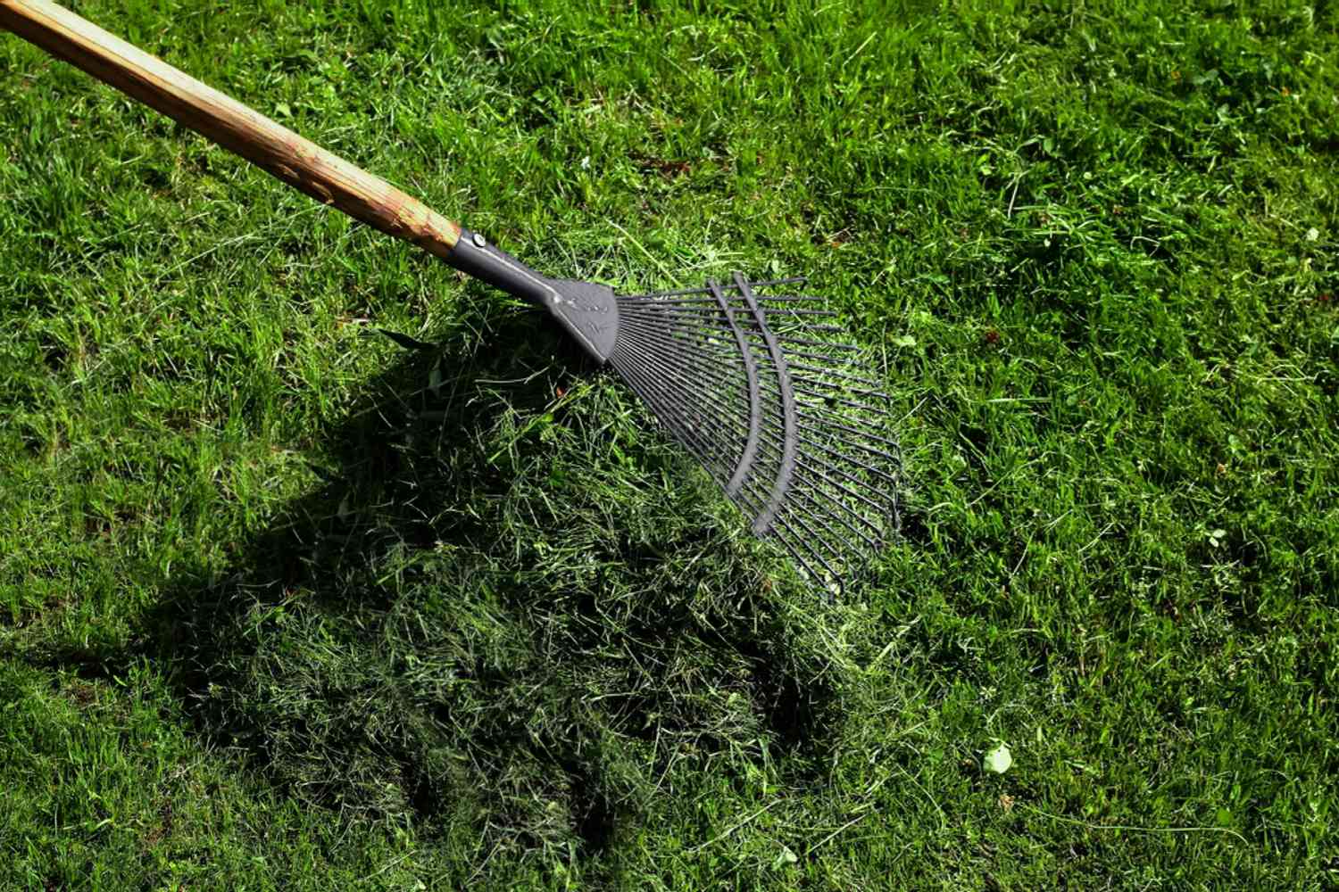 ratisser l'herbe coupée