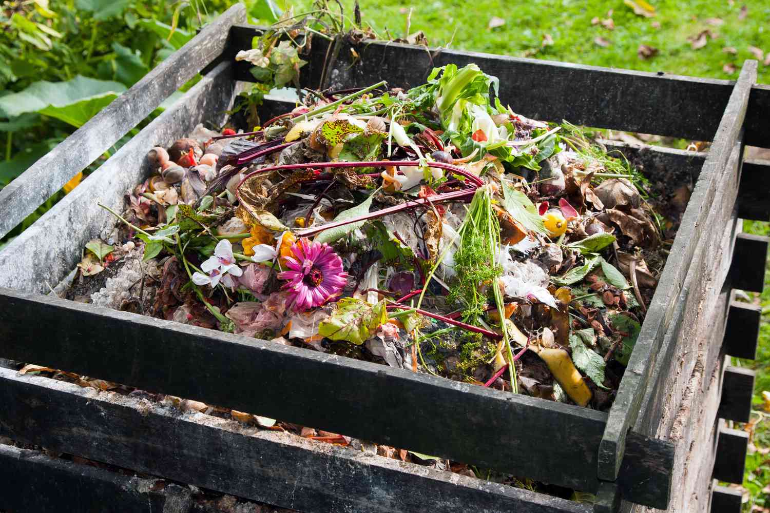 Bac à compost à l'extérieur dans le jardin