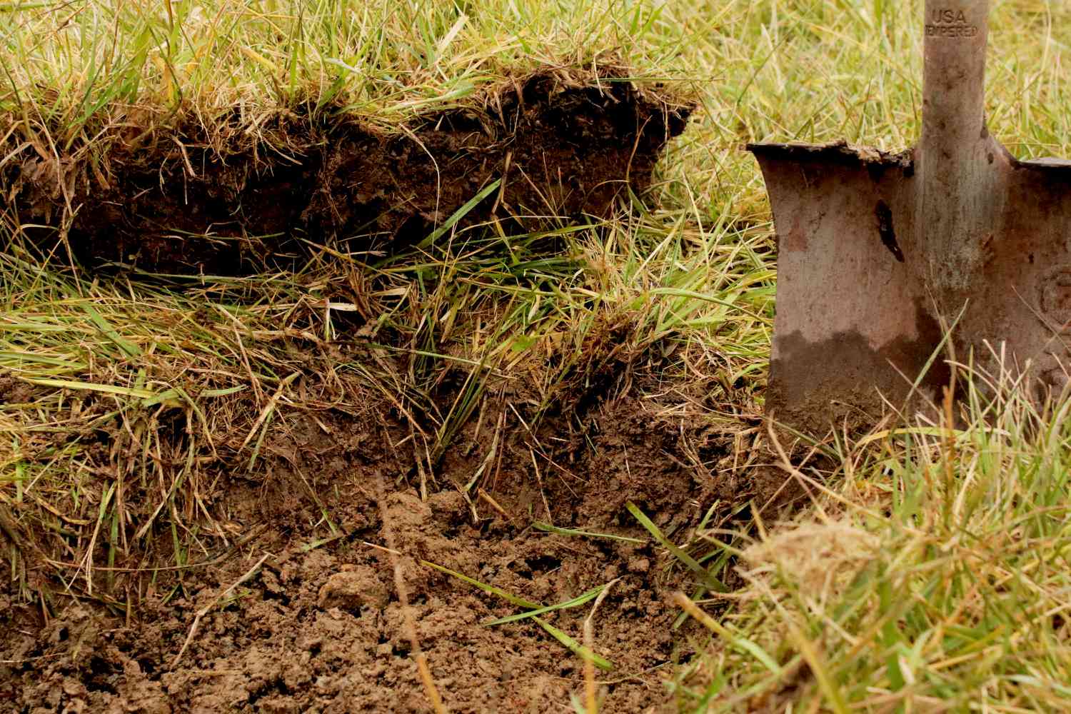 Déterrer le gazon à l'aide d'une pelle pour le transformer en lit de jardin