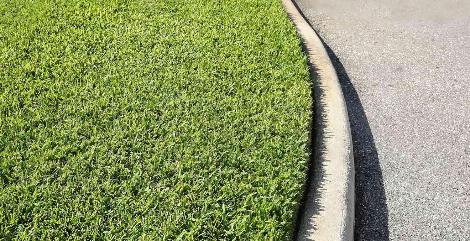 Herbe de St. Augustine poussant le long d'une rue avec une bordure.