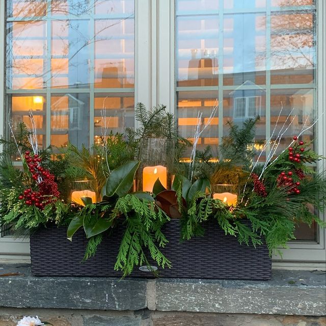 Jardinière avec de la verdure d'hiver, des brindilles blanches élancées et des baies rouges avec trois chandeliers en verre avec des bougies dorées à l'intérieur.