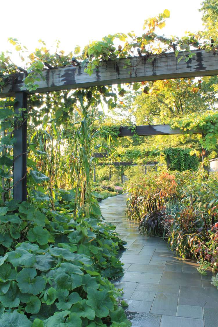 Une promenade dans un jardin avec pergola