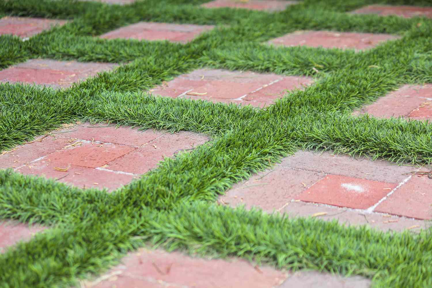 Une allée de jardin faite de carrés de briques rouges.