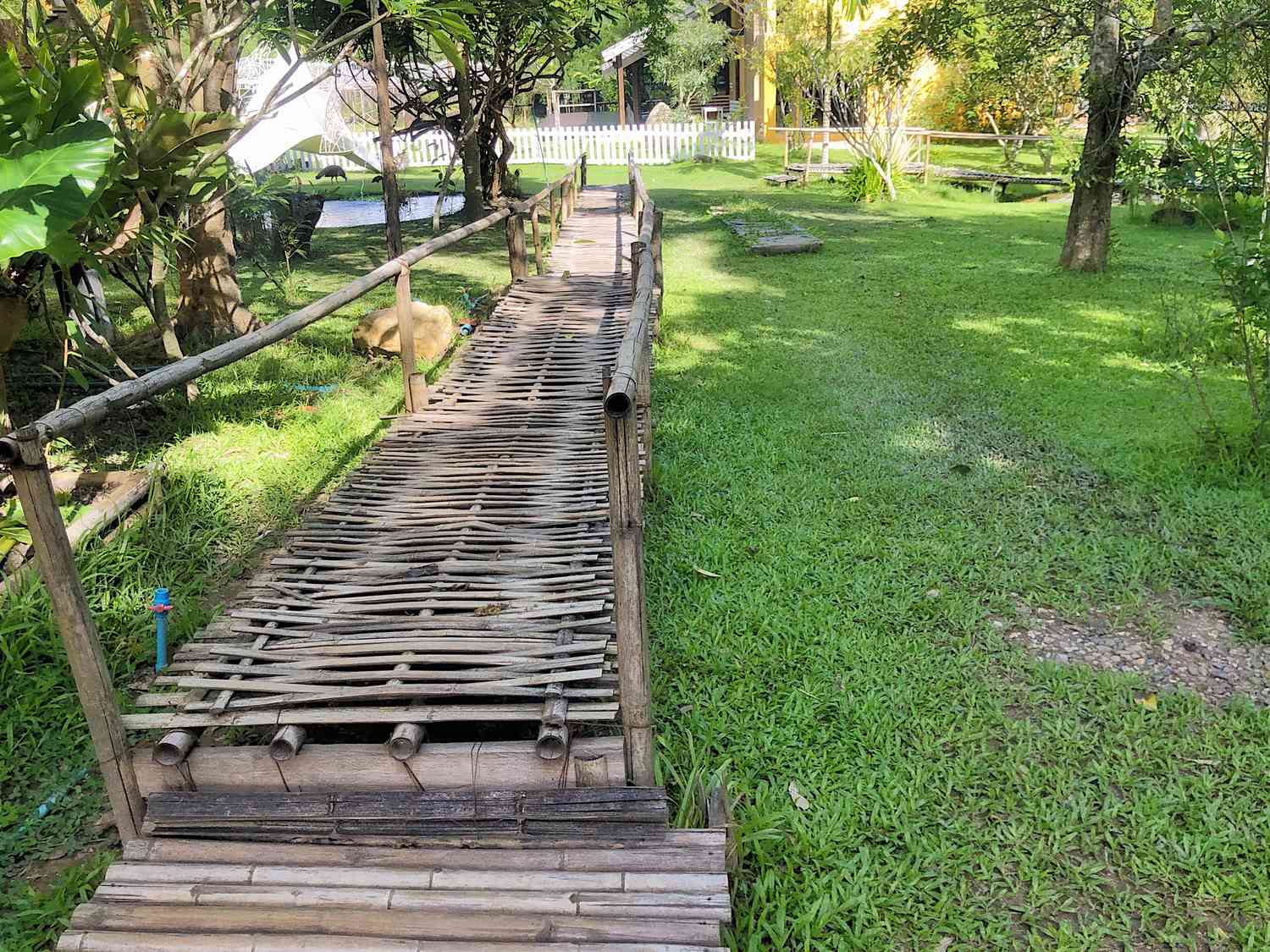 Un pont vintage en bambou dans une arrière-cour