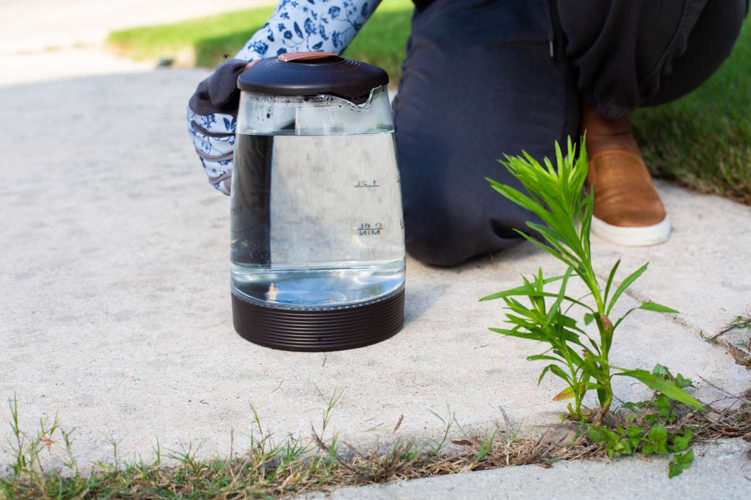 Eau bouillie dans un pot en verre devant des herbes entre deux allées.