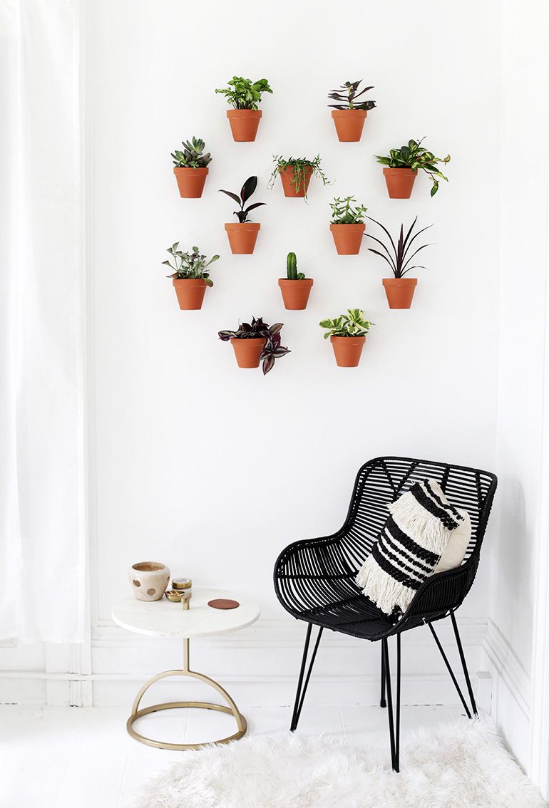 Un mur avec de nombreuses plantes dans des pots en terre cuite.