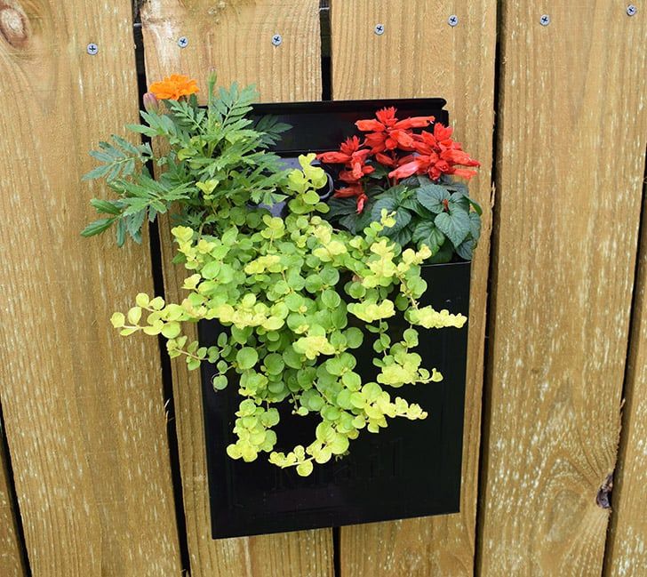 Une jardinière murale en forme de boîte aux lettres