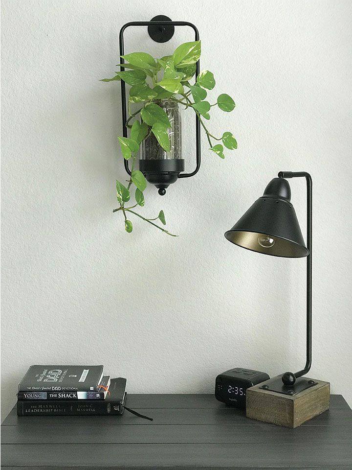 Une plante à l'intérieur d'une applique murale