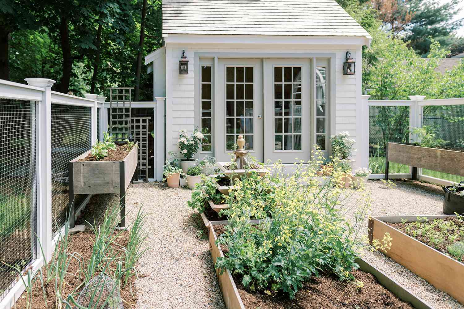 idées de lits de jardin surélevés peu coûteux
