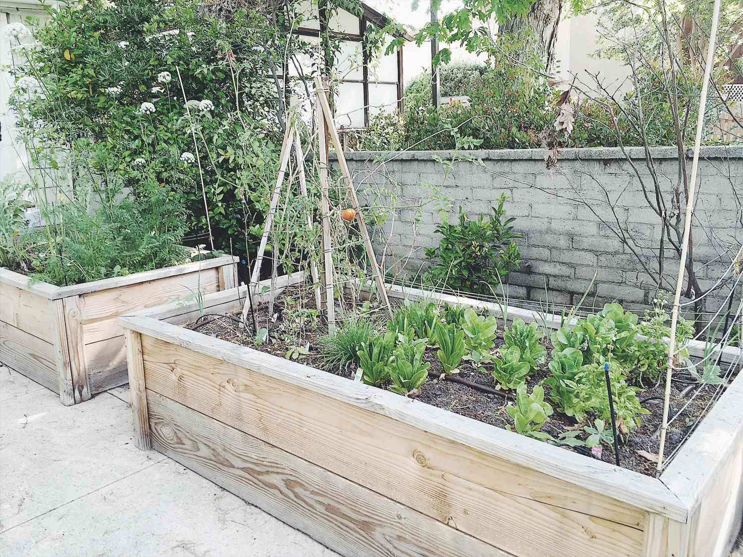 idées de lits de jardin surélevés