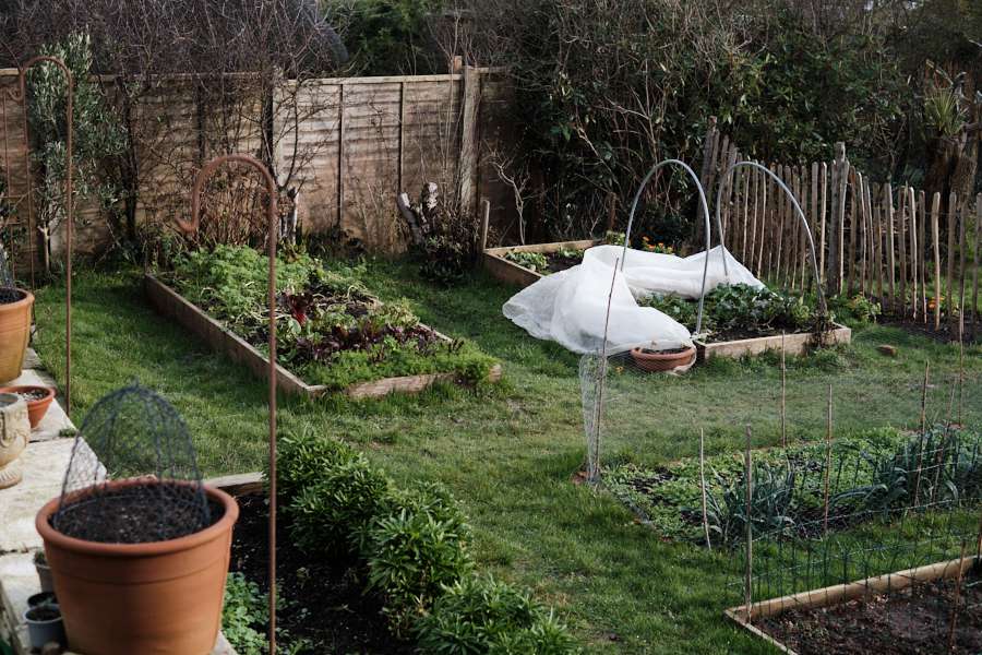 idées de lits de jardin surélevés