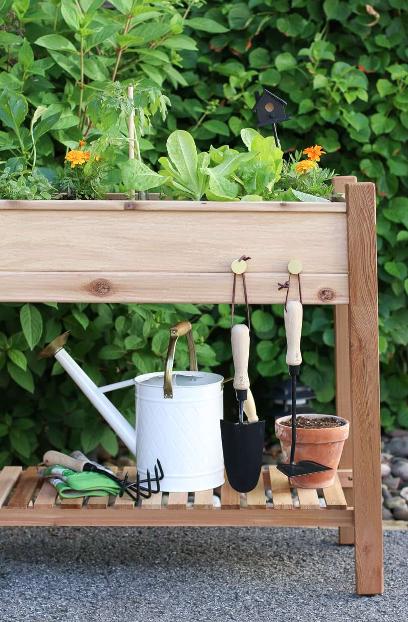 idées de lits de jardin surélevés peu coûteux