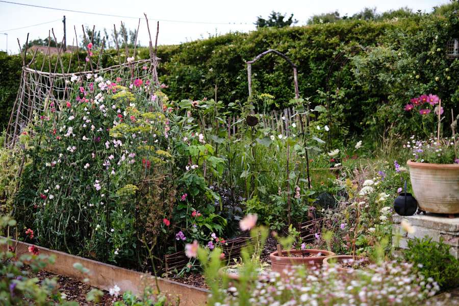 idées de lits de jardin peu coûteux