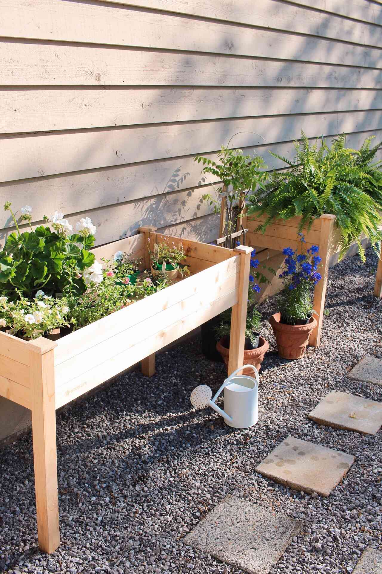 jardinières surélevées à bas prix