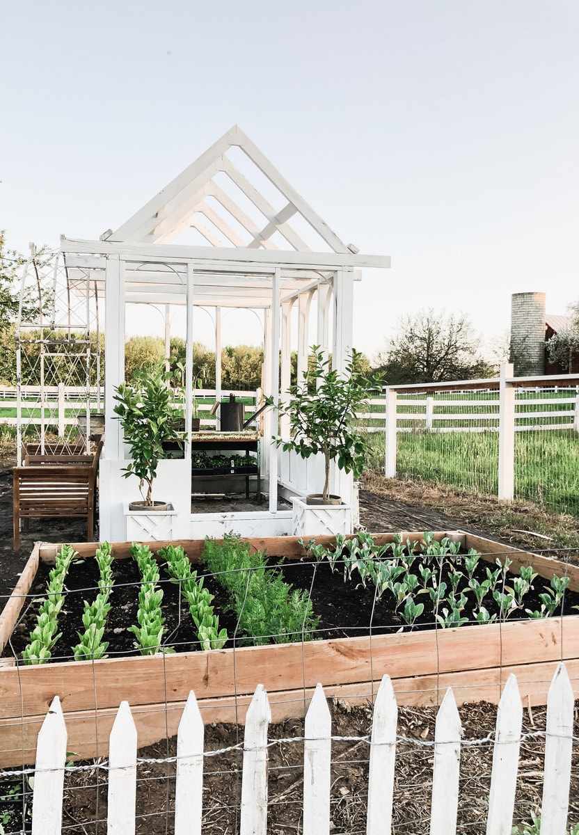 lit de jardin surélevé peu coûteux