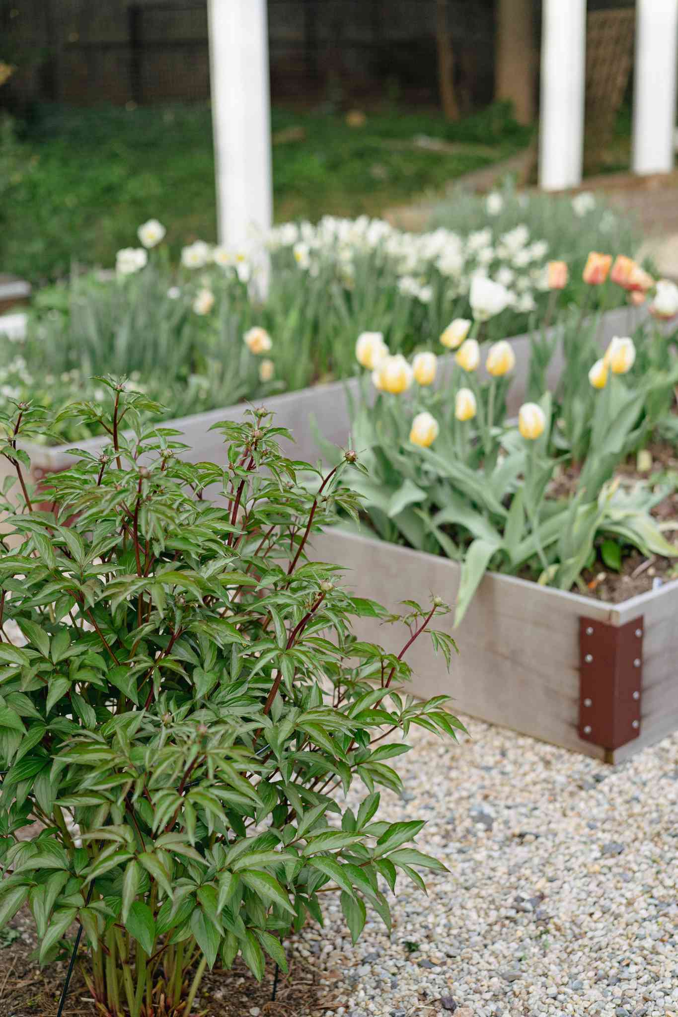idées de lits de jardin surélevés
