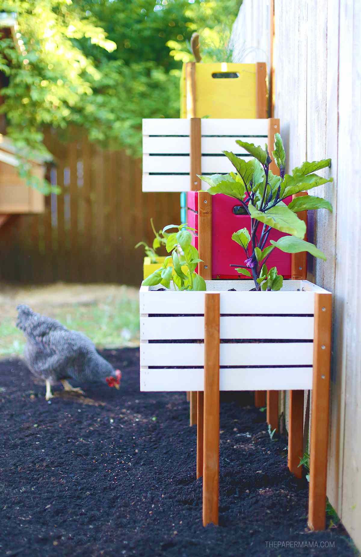 Un jardin vertical fait de caisses