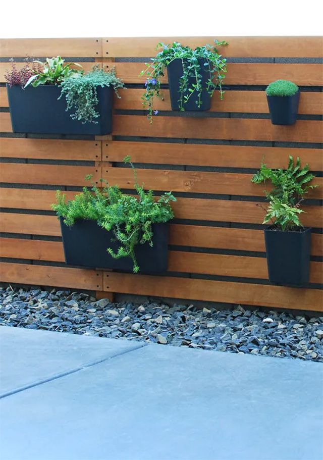 Un mur en lattes de bois avec un jardin vertical