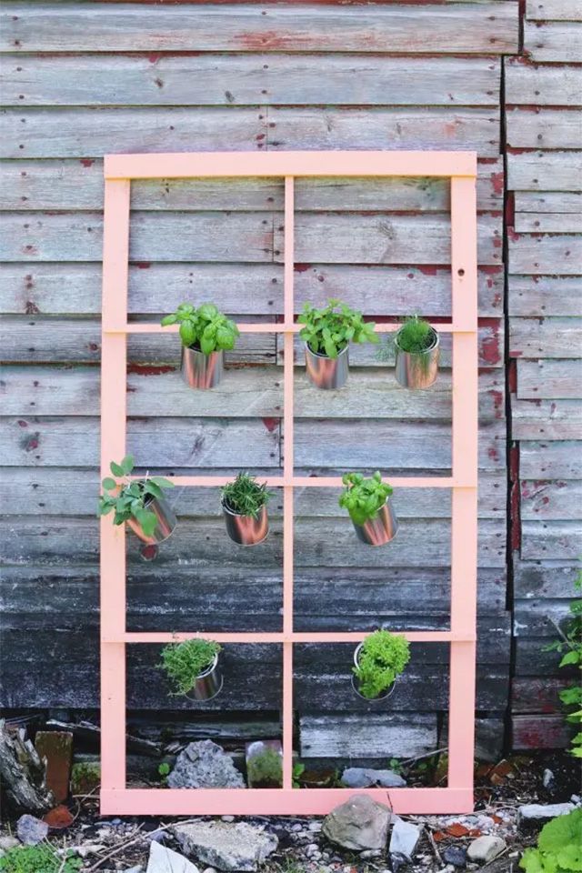 Un jardin d'herbes aromatiques vertical rose