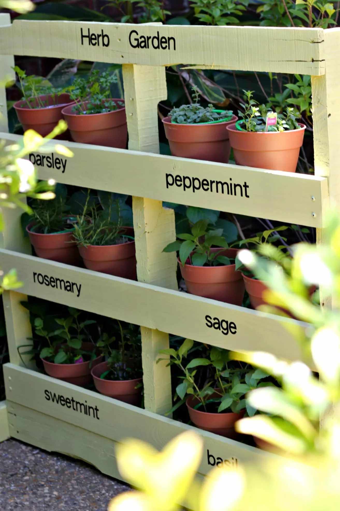 Un jardin d'herbes aromatiques vertical