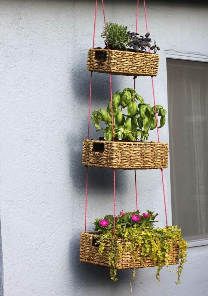 Un jardin vertical à panier suspendu