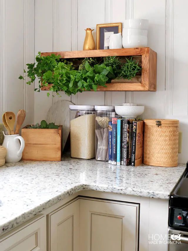 Un jardin vertical dans une cuisine