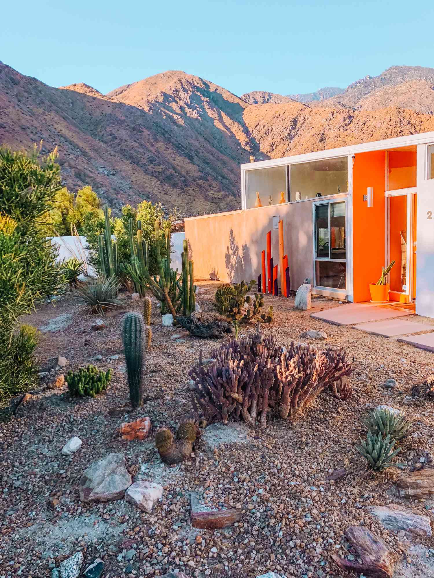 Un jardin de succulentes à l'avant de la maison avec un aménagement paysager en roches