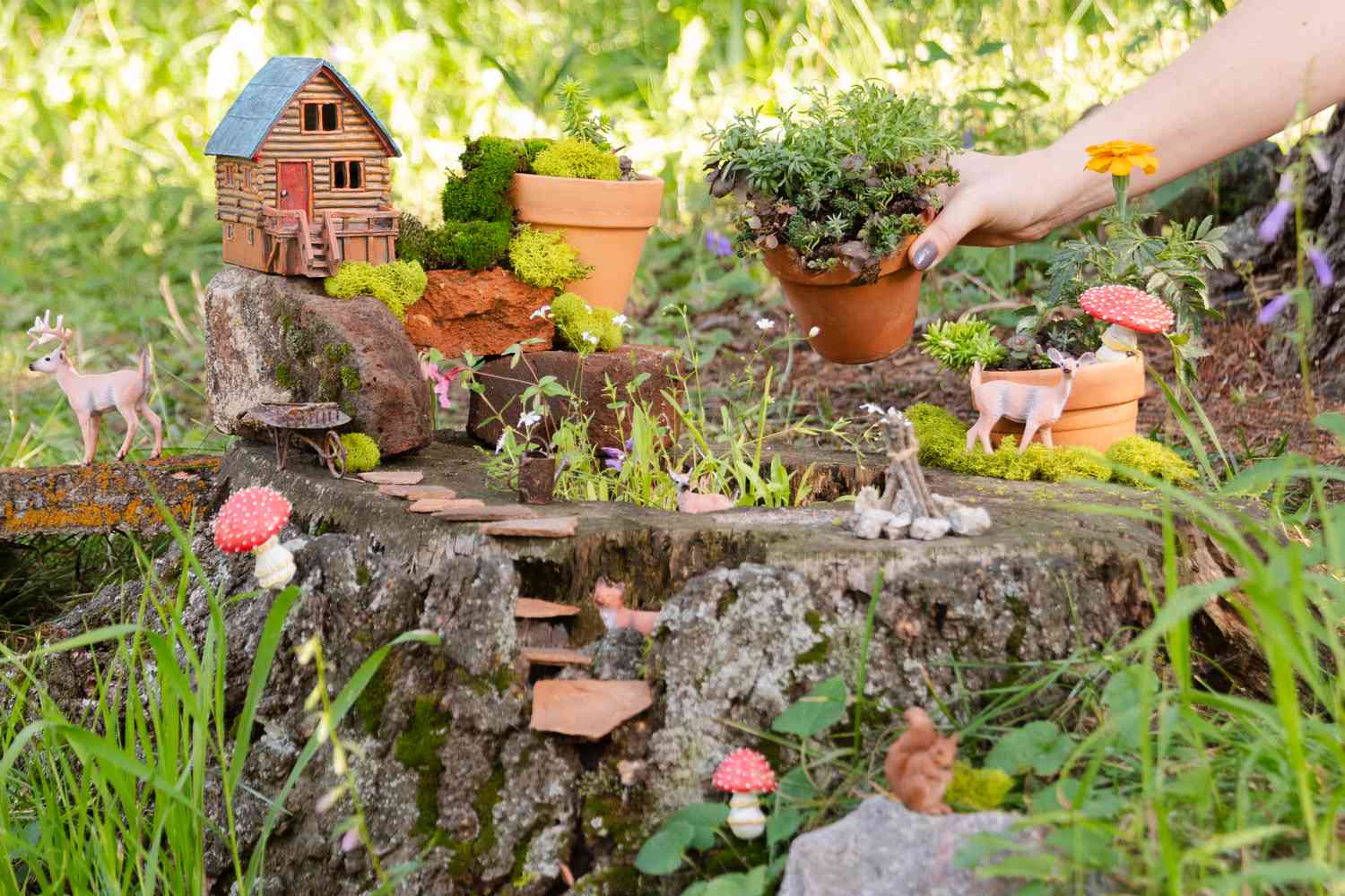 Choisir les plantes et le terreau pour le jardin de fées