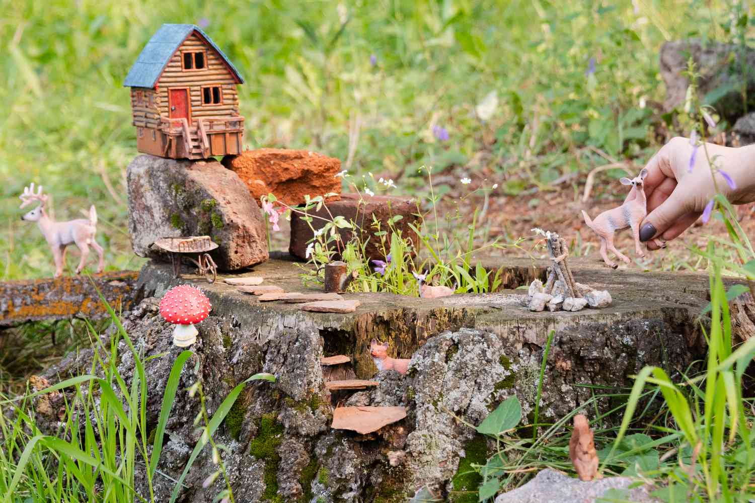 Élaboration d'un plan et d'une carte du jardin des fées