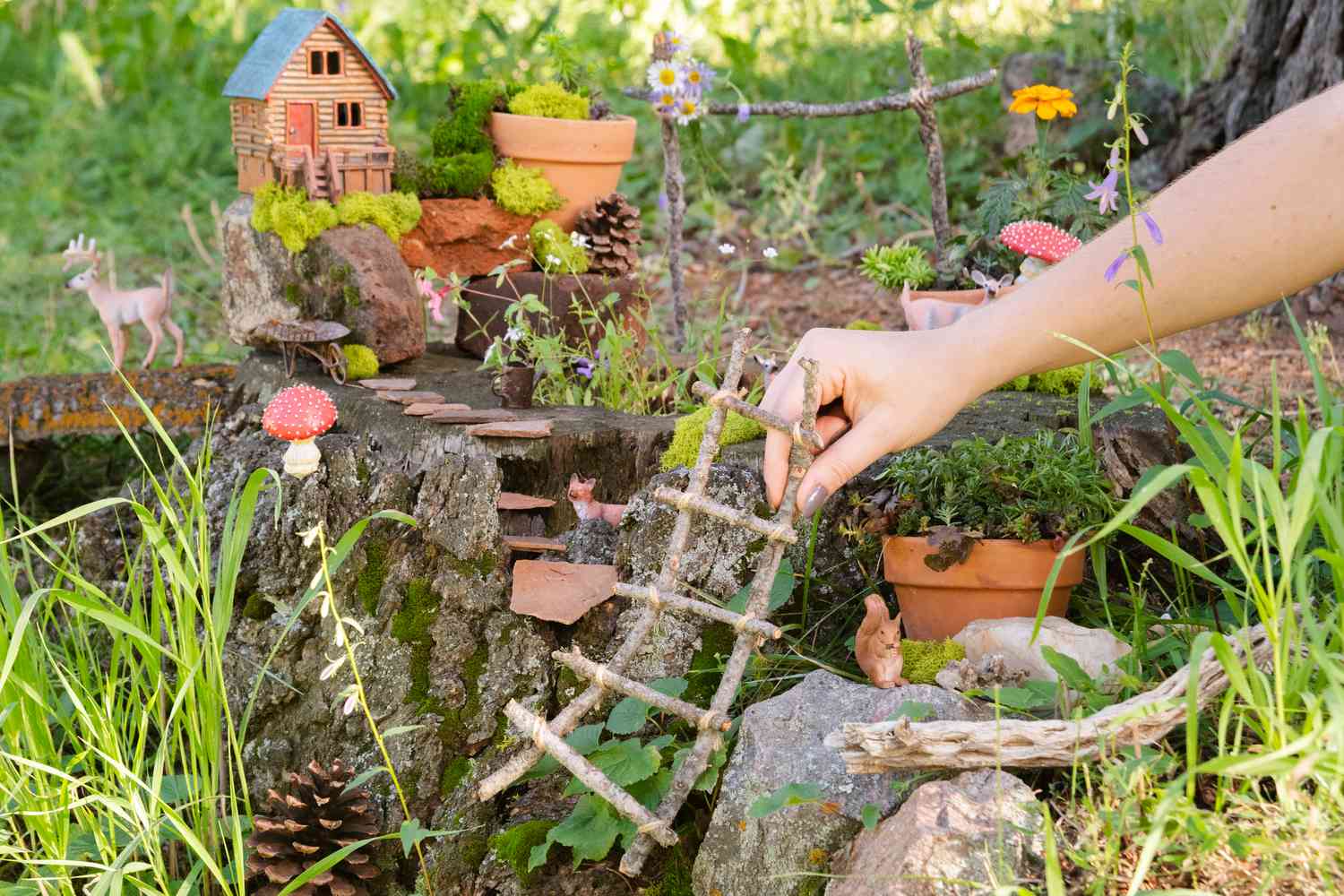 Positionnement des derniers accessoires du jardin de fées