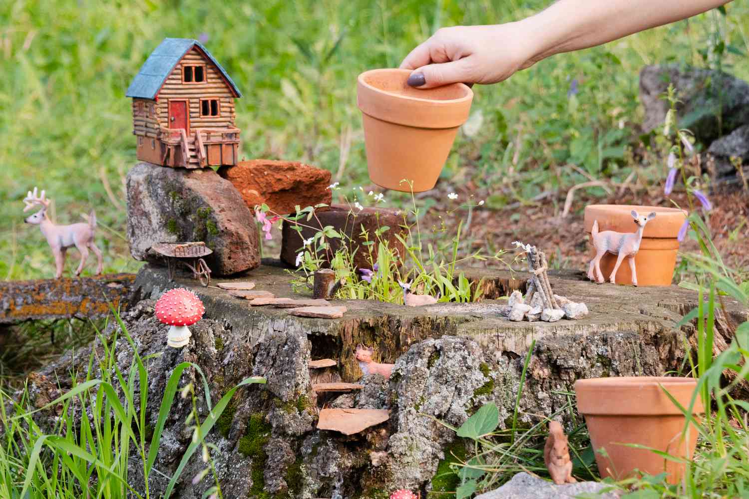 Choisir un contenant pour un jardin de fées